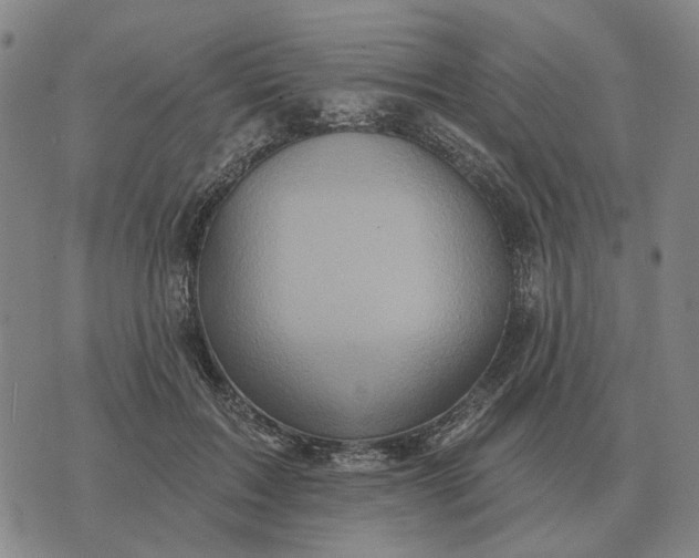 X0000070400603200606231804