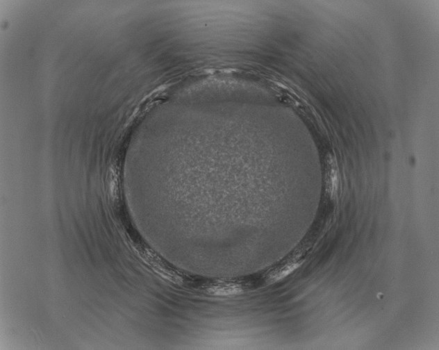 X0000070400604200606231804