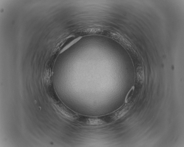 X0000070400605200606231804