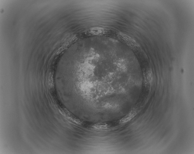 X0000070400606200606231804