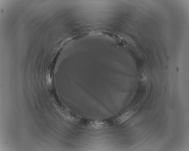 X0000070400607200606231804