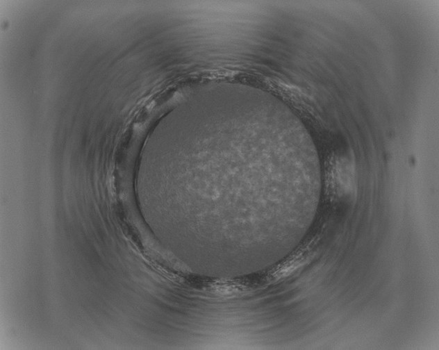 X0000070400608200606231804