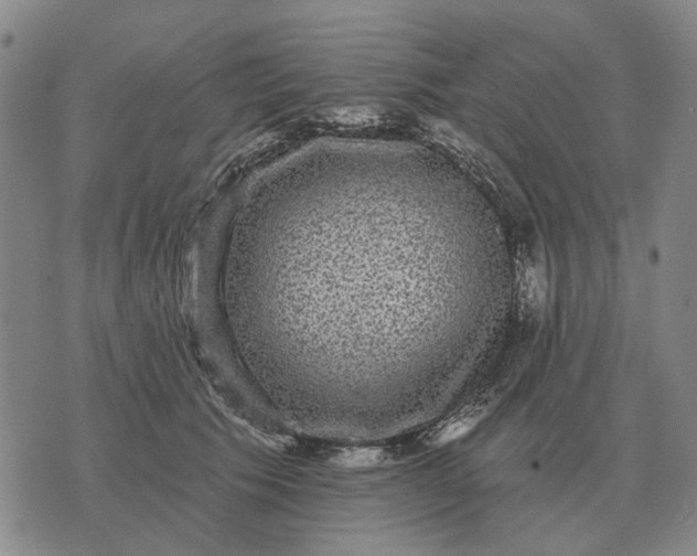 X0000070400609200606231804