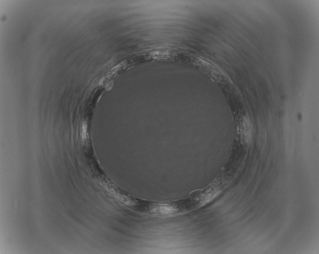 X0000070400610200606231804