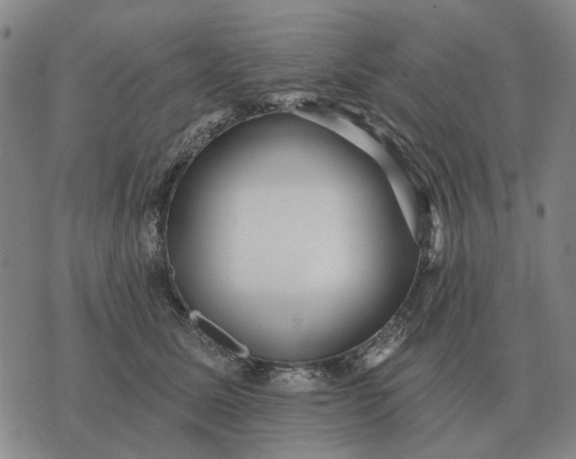 X0000070400611200606231804