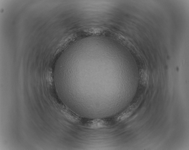 X0000070400612200606231804