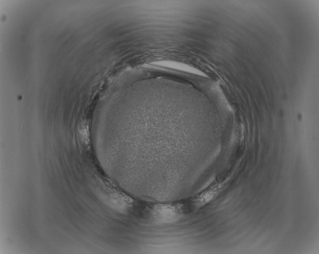 X0000070400613200606231804