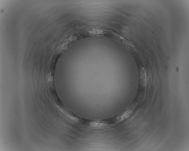 X0000070400614200606231804