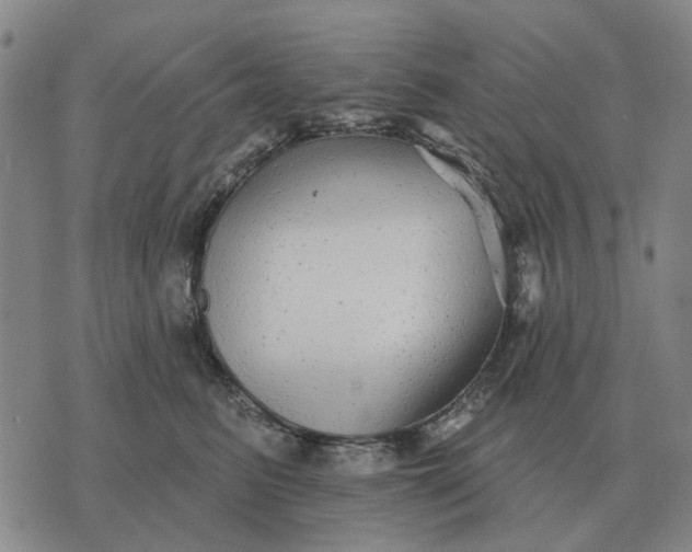 X0000070400615200606231804