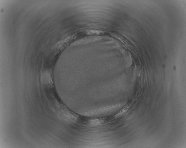 X0000070400616200606231804