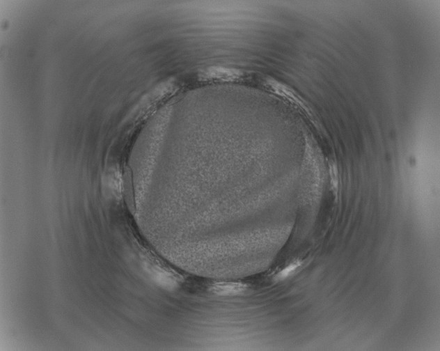 X0000070400617200606231804