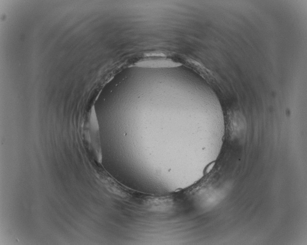 X0000070400619200606231804