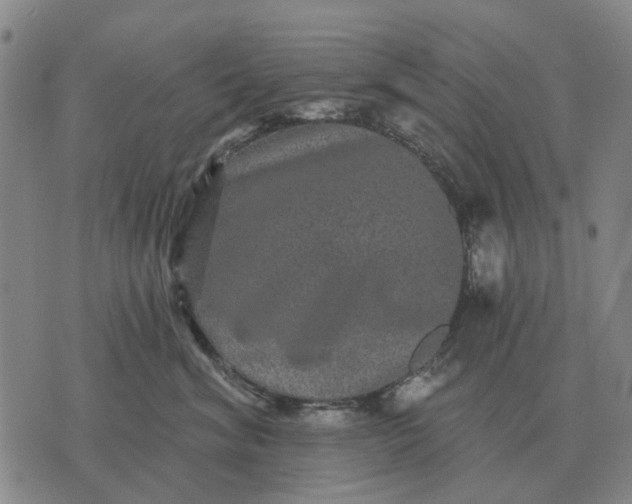 X0000070400620200606231804