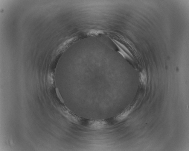 X0000070400621200606231804