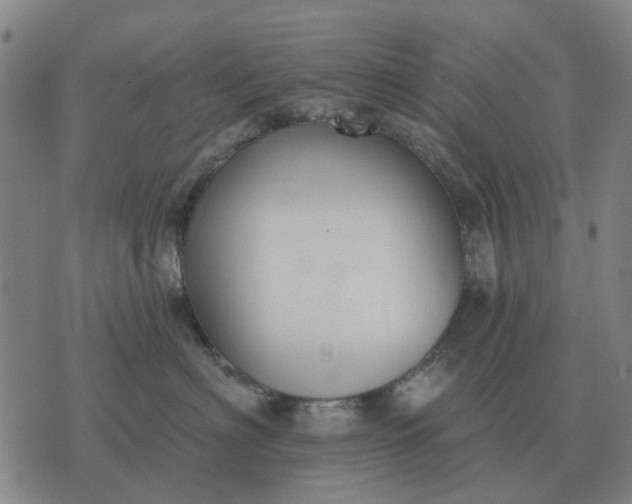 X0000070400622200606231804