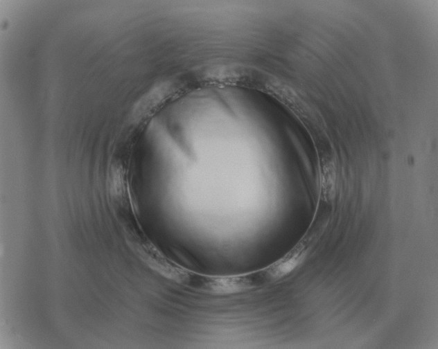 X0000070400623200606231804