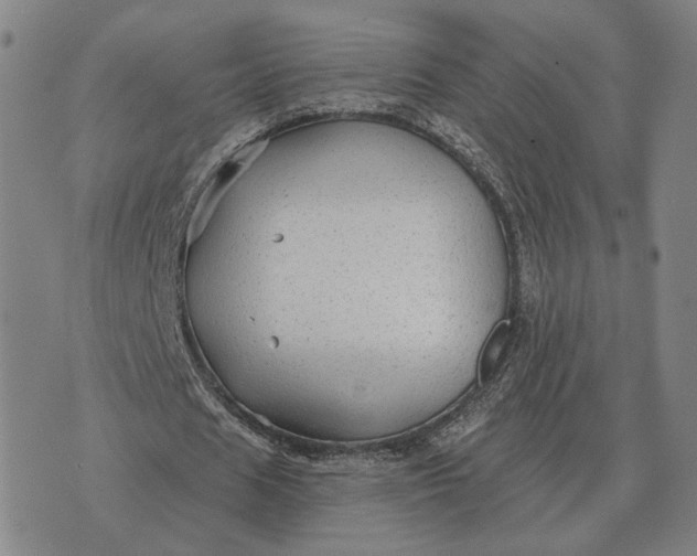 X0000070400625200606231803