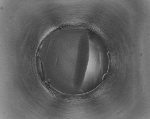 X0000070400626200606231803