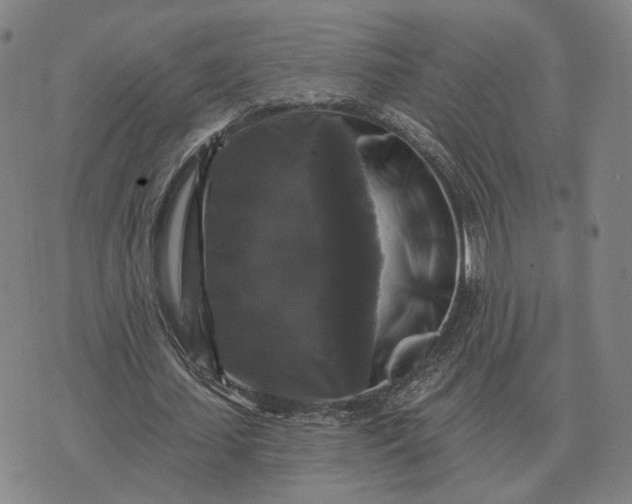 X0000070400627200606231803