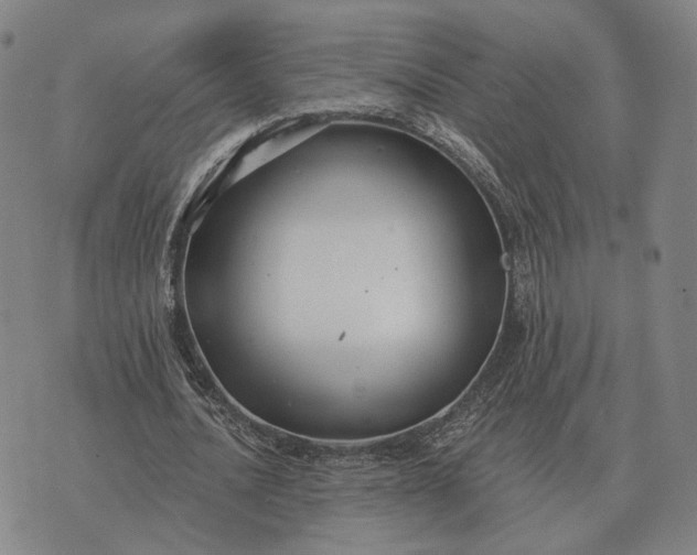 X0000070400628200606231803