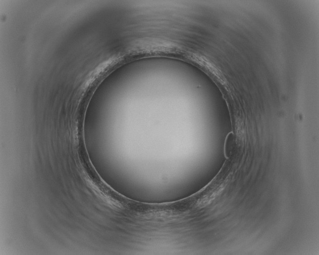 X0000070400629200606231803