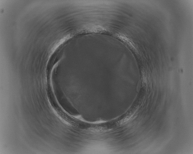 X0000070400630200606231803