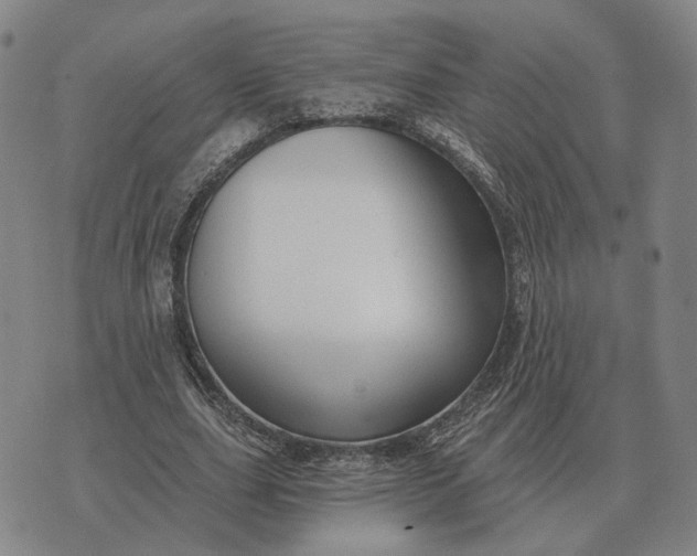 X0000070400631200606231803