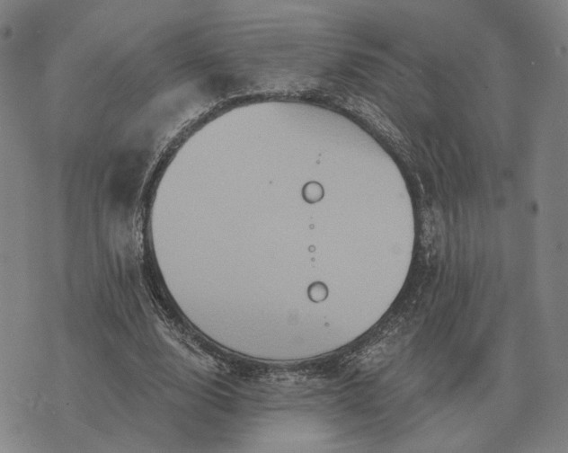 X0000070400632200606231803