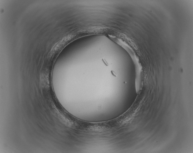 X0000070400633200606231803