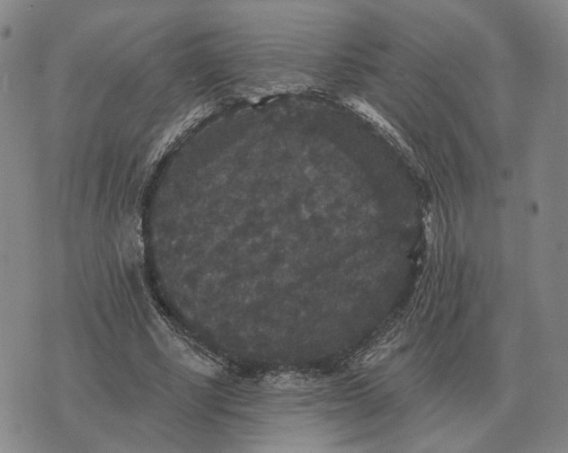 X0000070400634200606231803