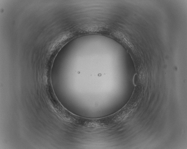 X0000070400635200606231803