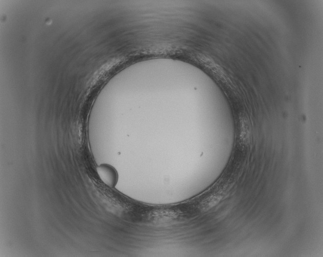 X0000070400636200606231803