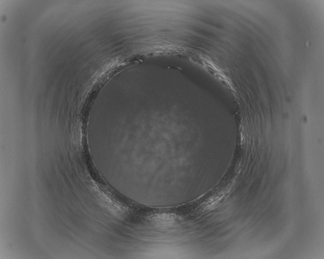 X0000070400637200606231803