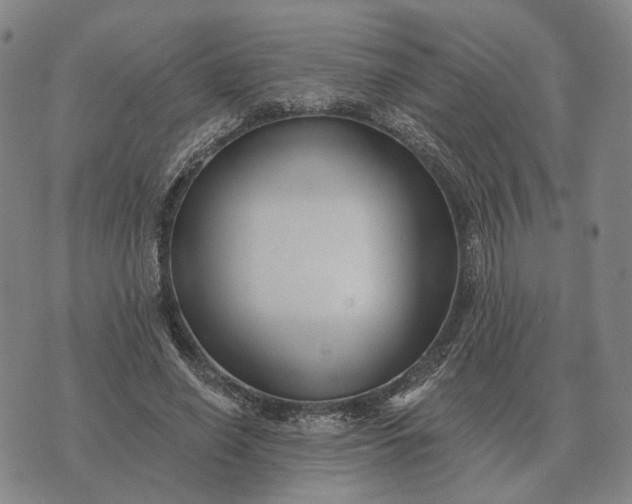 X0000070400638200606231803