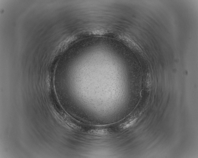 X0000070400639200606231803