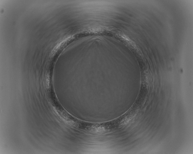 X0000070400640200606231803