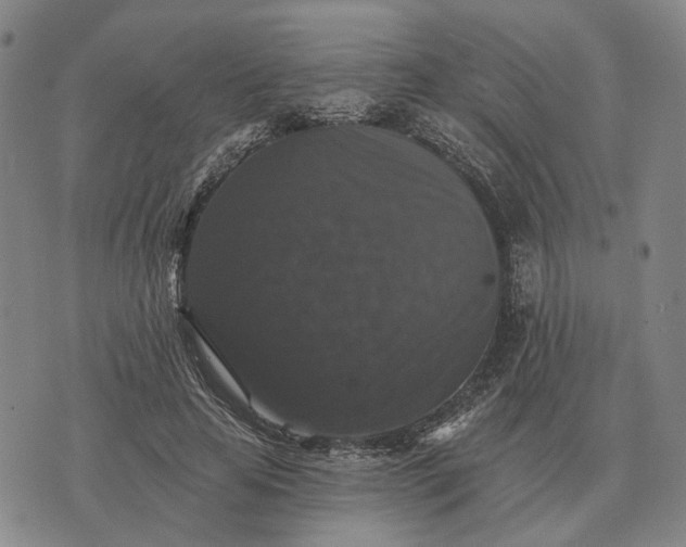 X0000070400641200606231803