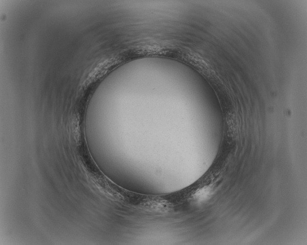 X0000070400642200606231803