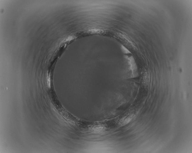 X0000070400643200606231803