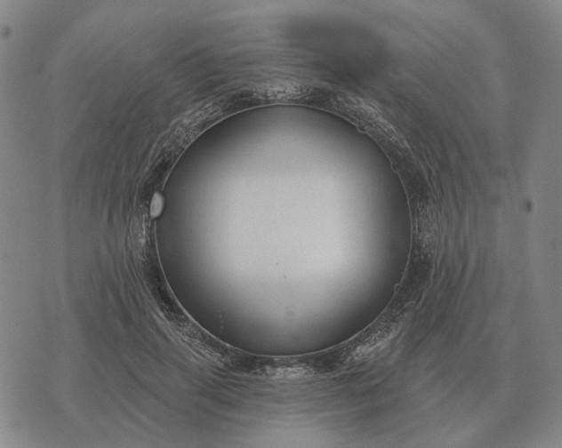 X0000070400645200606231803