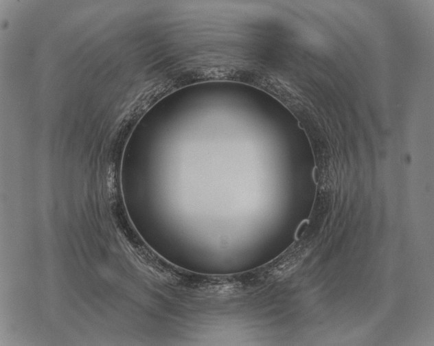 X0000070400646200606231803