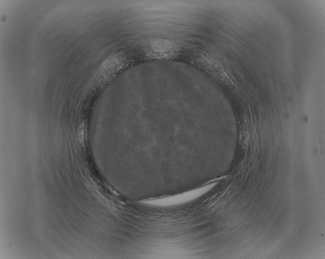 X0000070400647200606231803