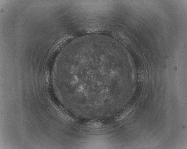 X0000070400648200606231803