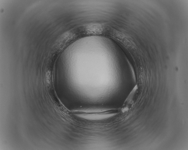 X0000070400649200606231803