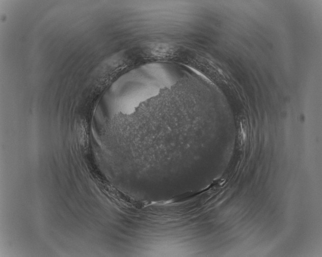 X0000070400651200606231804