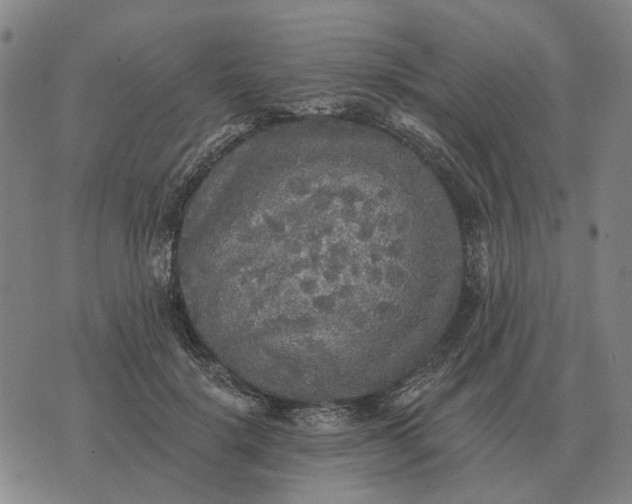 X0000070400652200606231804