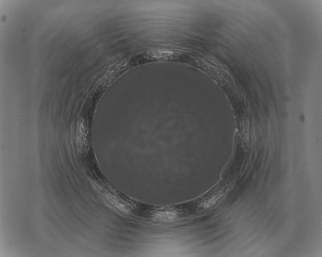 X0000070400653200606231804