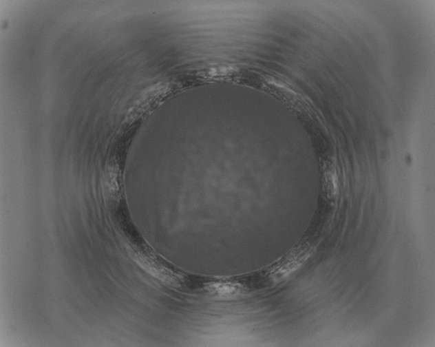 X0000070400654200606231804