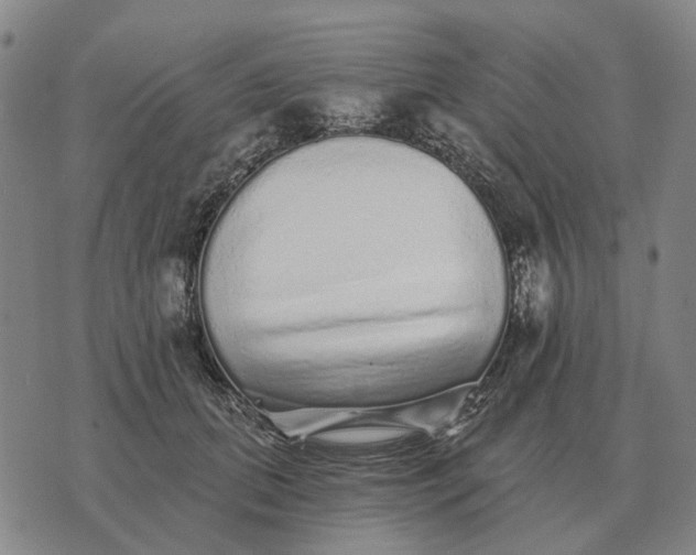 X0000070400655200606231804