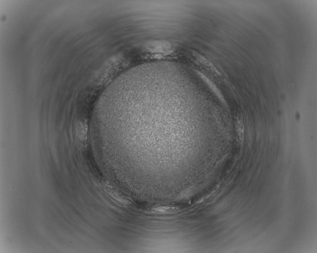 X0000070400657200606231804